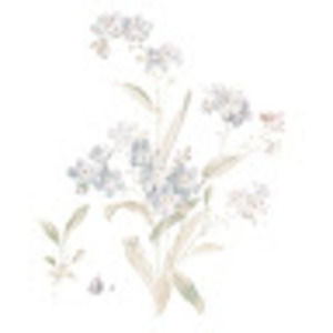 Meet your Posher, Jayde